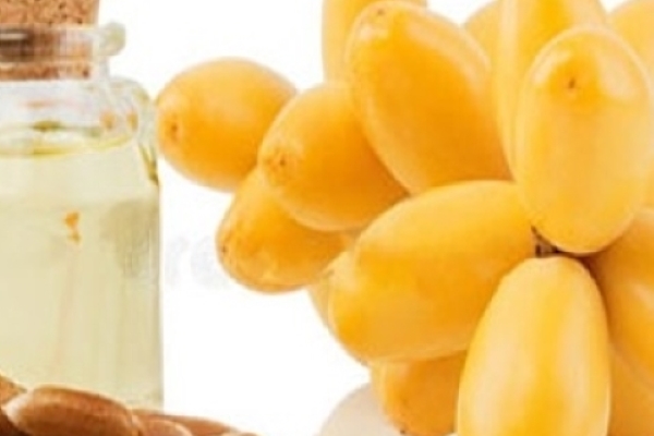 تصویر 4 از خرید و قیمت روغن هسته خرما + فروش صادراتی